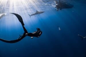 3 La mejor cámara subacuática Aqua-Vu